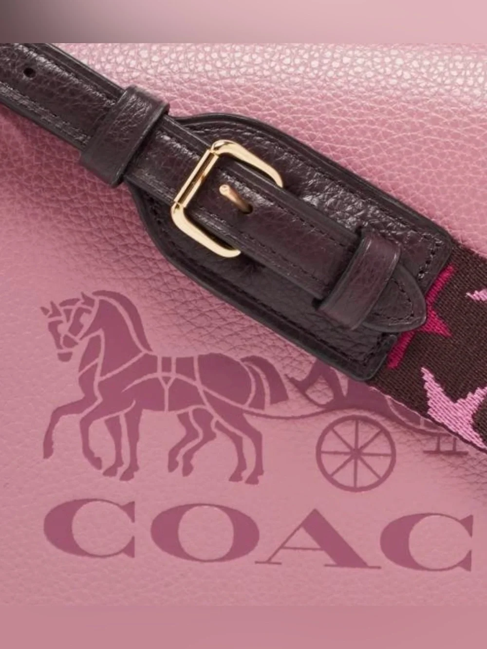 Coach Jes Crossbody Bag Colorblock Rose NWOT